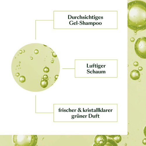 Rene Furterer VOLUMEA Volumizing Shampoo - Thickening Formula for Fine Hair - SLS Free, 8.5 Fl Oz