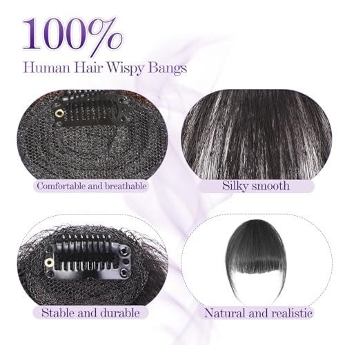 Earfodo Clip in Bangs 100% Human Hair Extensions Fake Bangs Hair Clip on Bangs for Women Clip in Hairpieces Wispy Fringe Bangs for Daily Wear(4.5 * 6,Black)