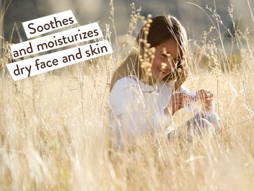 Babo Botanicals Moisturizing Oat & Calendula Miracle Face Cream - Shea Butter Hydration for All Ages