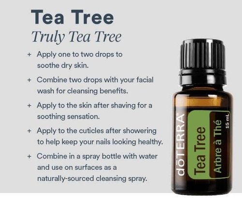 doTERRA Melaleuca Essential Oil - 15 ml | Therapeutic Grade, 100% Pure, 2 Pack