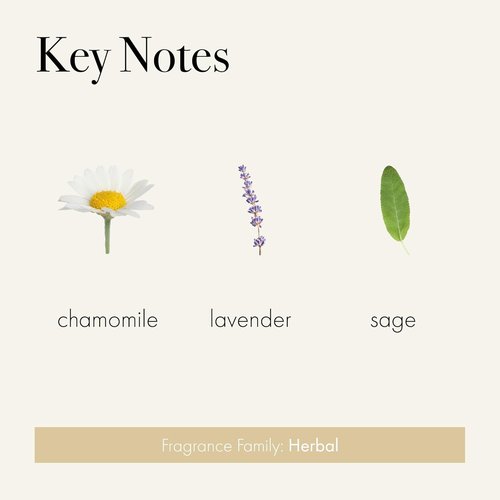LAFCO New York Liquid Soap - Chamomile Lavender - Moisturizes & Protects - 12 oz - Hypoallergenic & Cruelty-Free