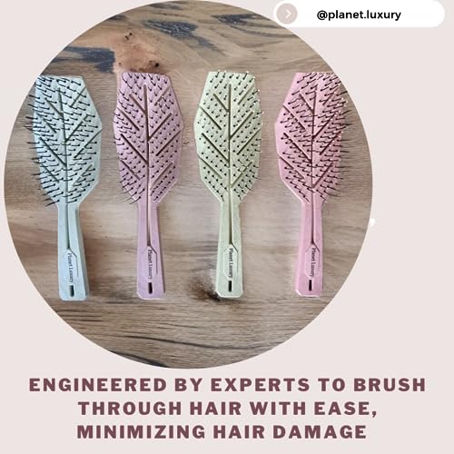 Planet Luxury Eco-Friendly Hair Brush w/Extra Soft Bristles, Detangler Hairbrush, Vented, Wet and Dry Hair For Women, Kids, Curly, Straight, Fine Hair Brush (Dusty Rose)