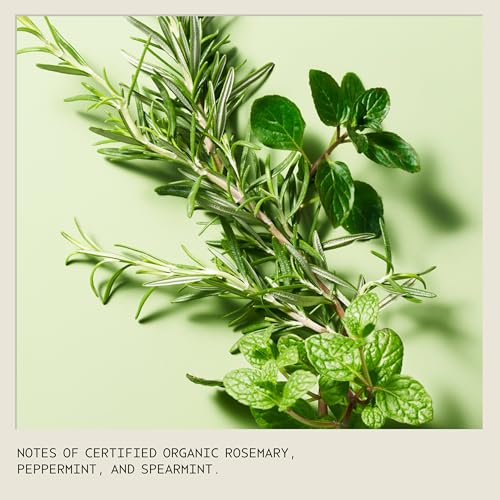 Aveda Rosemary Mint Purifying Shampoo | Clarifying Shampoo | Gently Removes Buildup, Adds Shine | For Normal to Oily Hair, Fine to Medium Hair | Invigorating Aroma| 97% Naturally Derived*, 1.7 Fl Oz