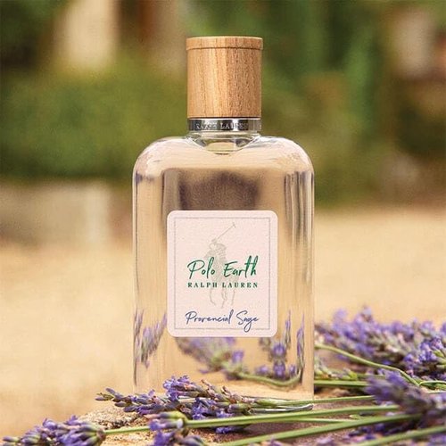 Ralph Lauren Fragrances Polo Earth - Provencial Sage Eau de Toilette - Citrus & Woody Scent with Bergamot, Sage, Lavender