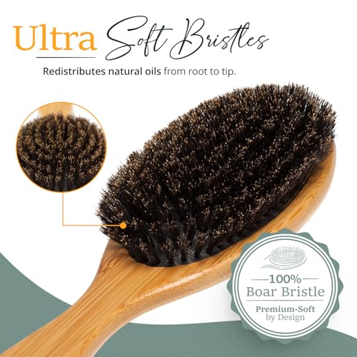 Belula 100% Boar Bristle Hair Brush Set (Medium). Soft Natural Bristles for Thin and Fine Hair. Restore Shine And Texture. Wooden Comb, Travel Bag and Spa Headband Included!