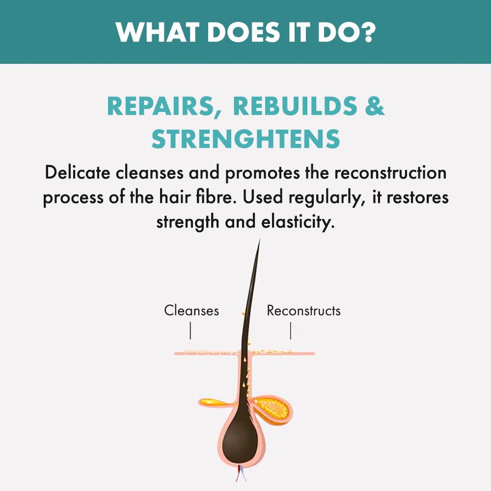 Alfaparf Milano Semi Di Lino Reparative Shampoo - Sulfate & Paraben Free for Damaged Hair | Professional Salon Quality
