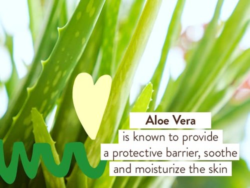 Babo Botanicals After Sun Soothing Mist - Aloe Vera & Cucumber - Gentle Relief for Face & Body - EWG Verified