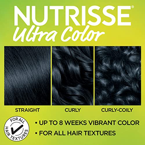 Garnier Hair Color Nutrisse Ultra Color Nourishing Creme, BL21 Reflective Blue Black (Blackberry Mojito) Permanent Hair Dye, 1 Count (Packaging May Vary)