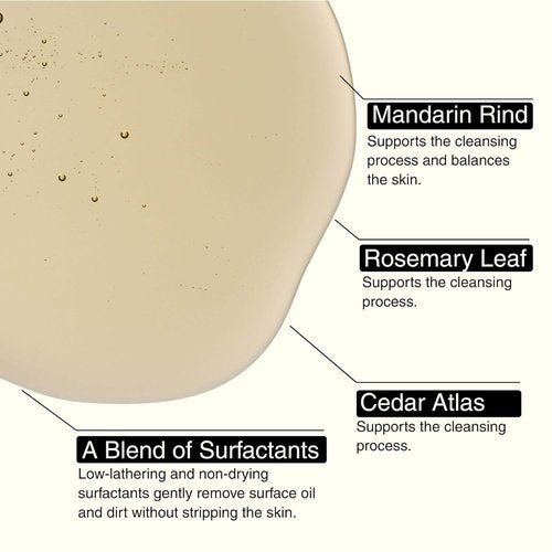 Aesop Resurrection Aromatique Hand Wash & Refill - Gentle Gel with Orange, Rosemary & Lavender Oils | 16.9oz / 500mL (Pack of 2)