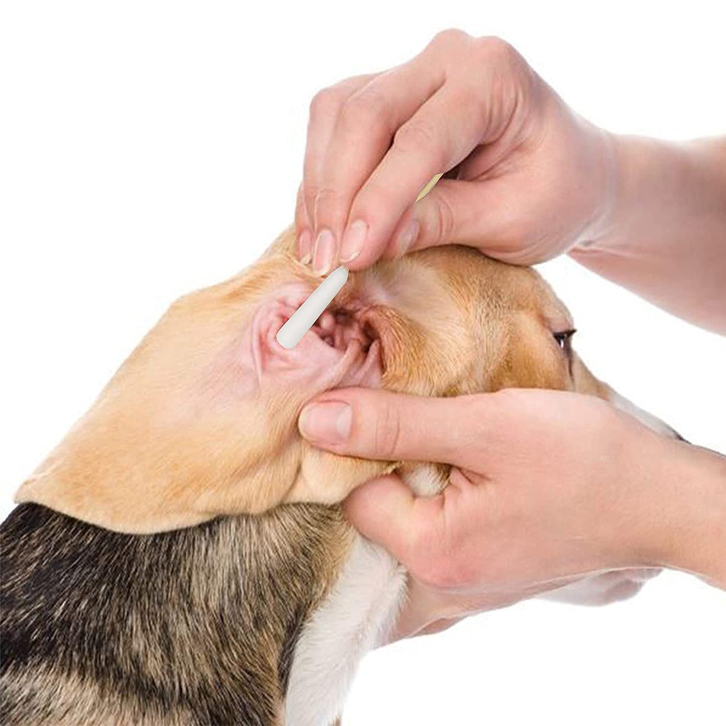 Skiennix Cotton Swabs - 6 Inch Ear Cleaning Tools for Medium & Large Pets | 100 Pack