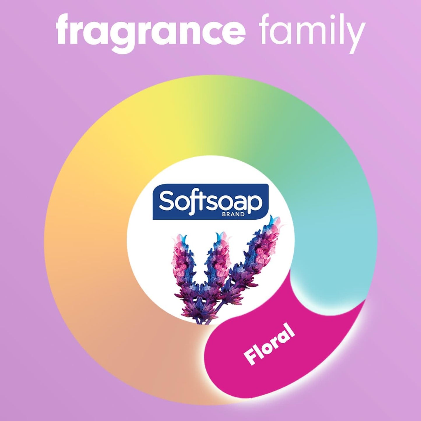 Softsoap Deeply Moisturizing Hand Soap - Shea Butter & Lavender Scent | 11.25 Fl Oz