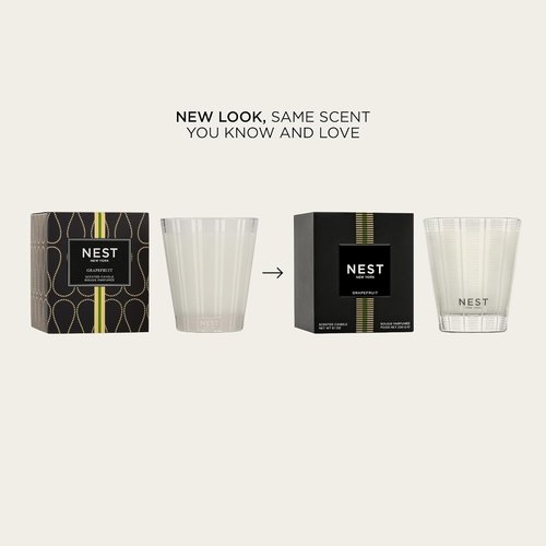 NEST New York Scented Classic Candle - Grapefruit Fragrance | 8.1 oz | Up to 60-Hour Burn Time
