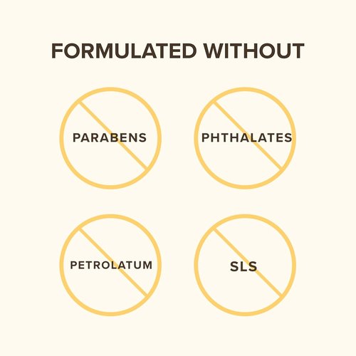 Burt's Bees Unscented Lip Balm - Antioxidant-Rich Turmeric Formula | Natural Care, 2 Tubes, 0.15 oz