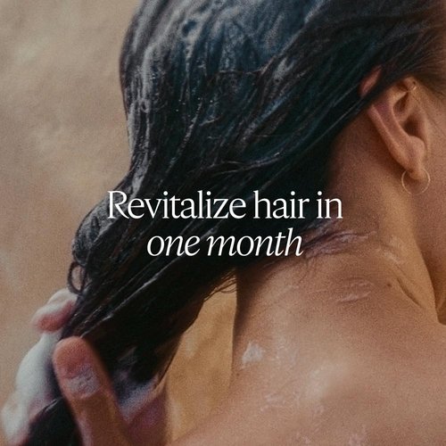 L'Occitane Intensive Repair Shampoo - Revitalize Dry, Damaged Hair | Silicone-Free & Vegan Refill Available