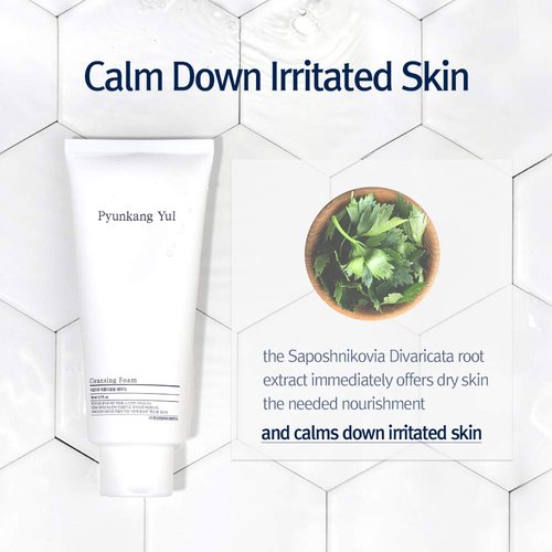PYUNKANG YUL Cleansing Foam - Gentle Korean Facial Wash for All Skin Types - 5.1 Fl. Oz