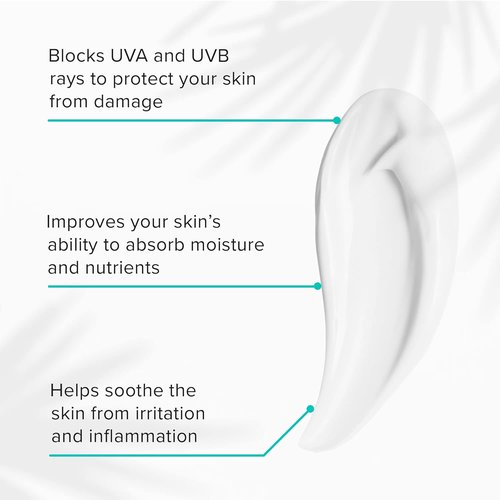ClarityRx Skin Defense SPF 50 - Natural Plant-Based Moisturizing Sunscreen with Zinc & Hyaluronic Acid (2 Oz)