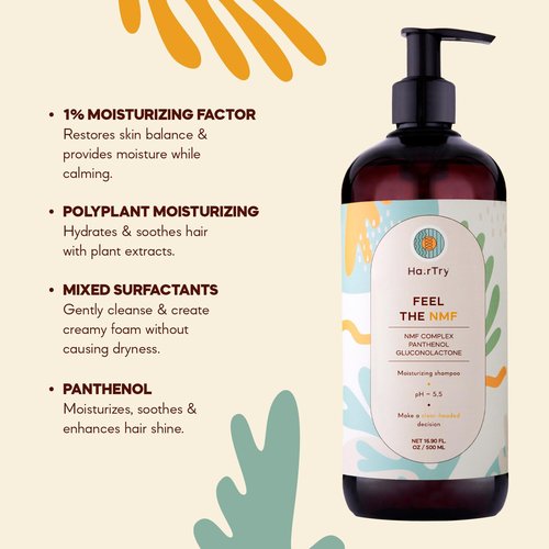 HairTry Hydrating Shampoo - Nourishing Scalp & Hair Care with Polyplant Complex | 16.90 Fl. Oz (500 ml)