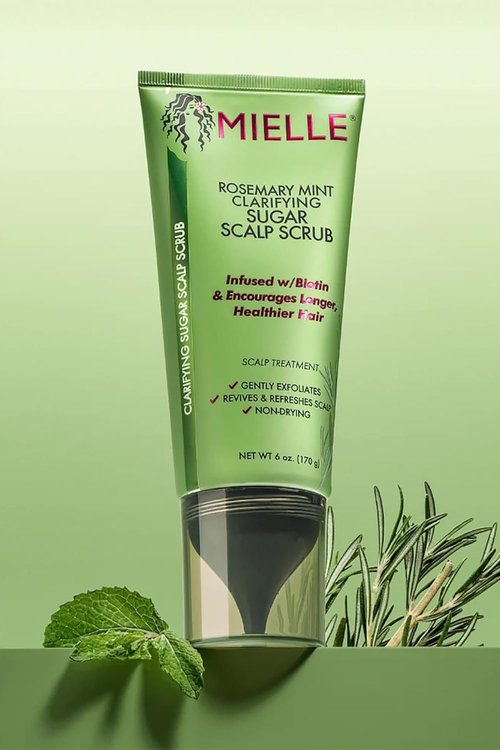 Mielle Organics Rosemary & Mint Scalp Scrub - Gentle Exfoliating Pre-Shampoo Treatment | Biotin Infused, 6 Fl Oz