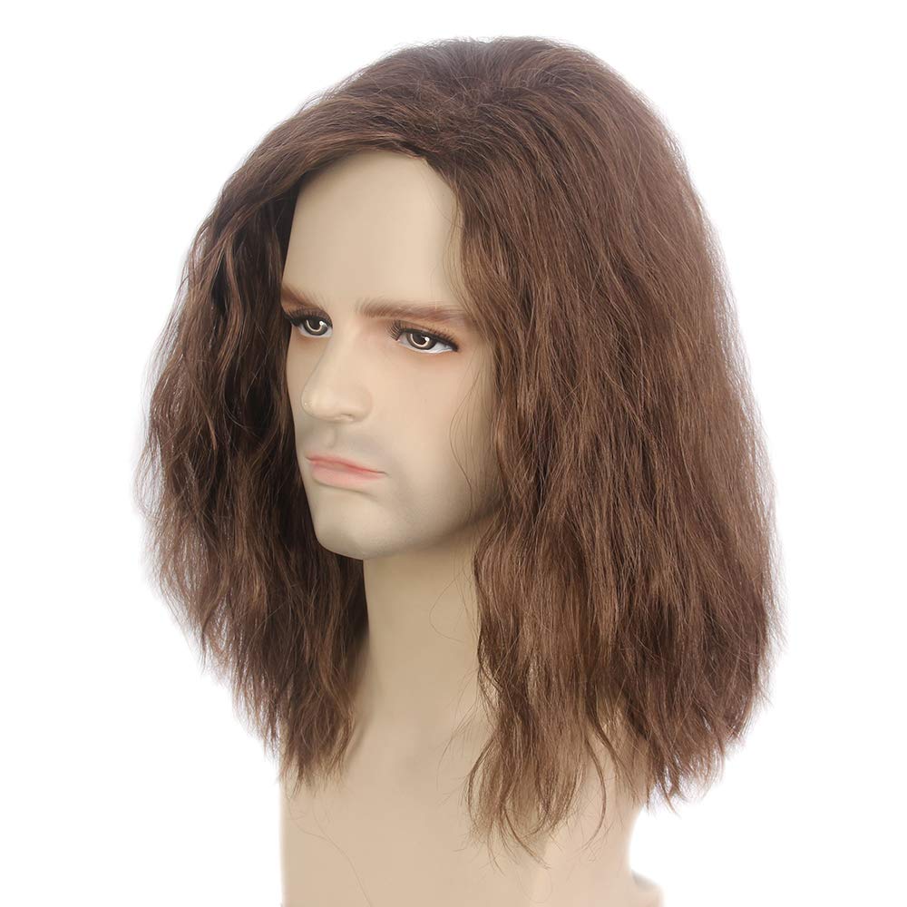 REEWES Mens Wig Long Men Wigs Wig Curly Wave Layered Hair with Cap Flame Redartant Synthetic Hair Wig Natural Hair Wig for Male Daily Party Costume Cosplay Wear (Brown)
