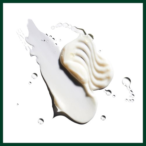 Aveda Nutriplenish Shampoo - Deep Moisture for Medium to Thick Dry Hair | Organic Pomegranate Oil & Coconut Oil