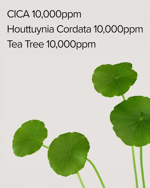Mary&May CICA Houttuynia Tea Tree Calming Mask - Soothing Daily Sheet Mask for Hydration | 30 Hypoallergenic Sheets