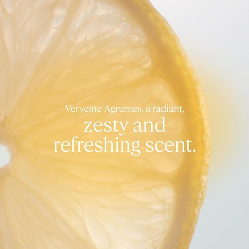 L'Occitane Body Milk: Moisturizing, Soften Skin, Delicately Perfume Skin, Vegan, Made in France, Citrus Verbena, Herbae, Neroli & Orchidee, 8.4 Fl Oz