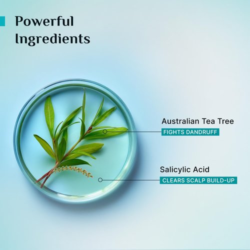 Pilgrim Anti-Dandruff Shampoo - Australian Tea Tree & Salicylic Acid | Non-Drying Scalp Relief | 21.98 Fl Oz (650ml)