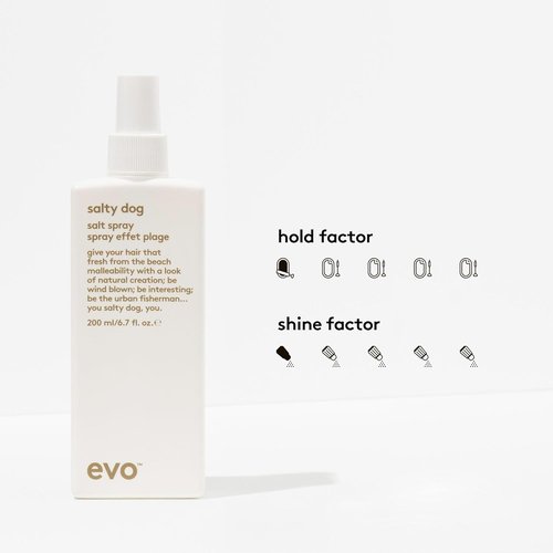 EVO Salty Dog Salt Spray - Beachy Texture & Volume - Natural Matte Finish for Effortless Style