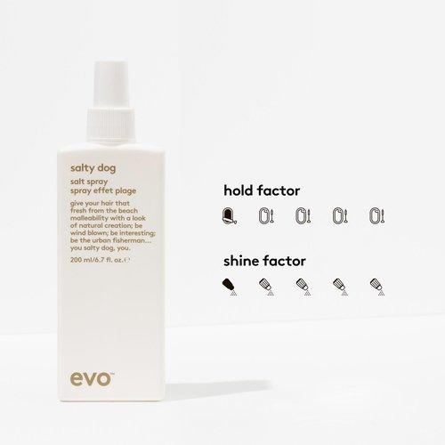 EVO Salty Dog Salt Spray - Hair Texture & Volume Spray - Beach Textured Hair, Natural Matte Finish