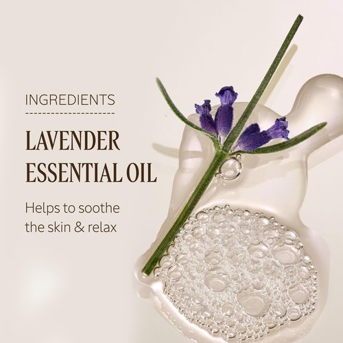 L'OCCITANE Lavender Body Lotion - Relaxing Lavender Essential Oil & Shea Butter | 8.40 fl oz