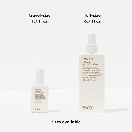 EVO Salty Dog Salt Spray - Hair Texture & Volume Spray - Beach Textured Hair, Natural Matte Finish