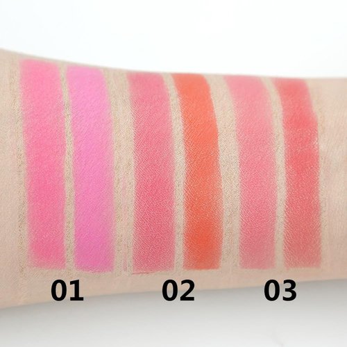 Regine Switzerland Blusher - Dual Color Formula for Flawless Cheeks | Shade 02
