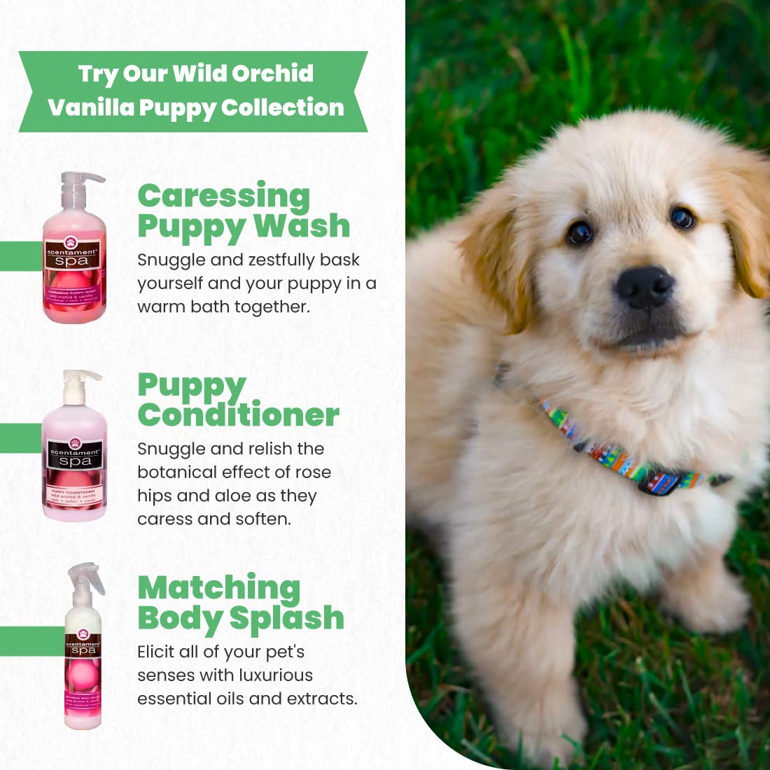 Best Shot Scentament Spa Puppy Conditioner, Ideal Skin Care Product, Pet Supplies, Hypoallergenic Puppy and Dog Conditioner, Wild Orchid and Vanilla Fragrance, 16 Oz