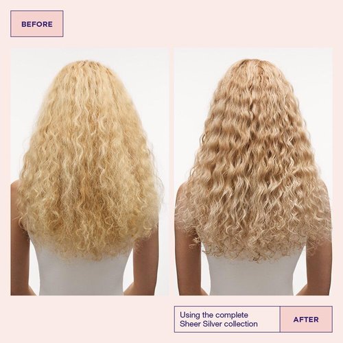 Maria Nila Silver Conditioner - Neutralizes Brassy Tones in Blonde, White & Grey Hair | 100% Vegan, Sulfate-Free