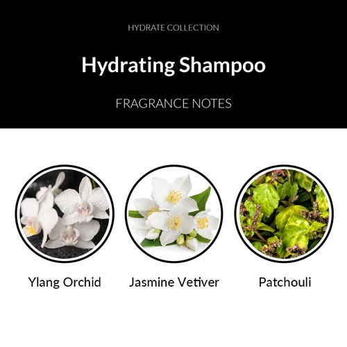 Number 4 Hydrating Shampoo - Moisturizing & Color Safe Formula | 8.5 oz