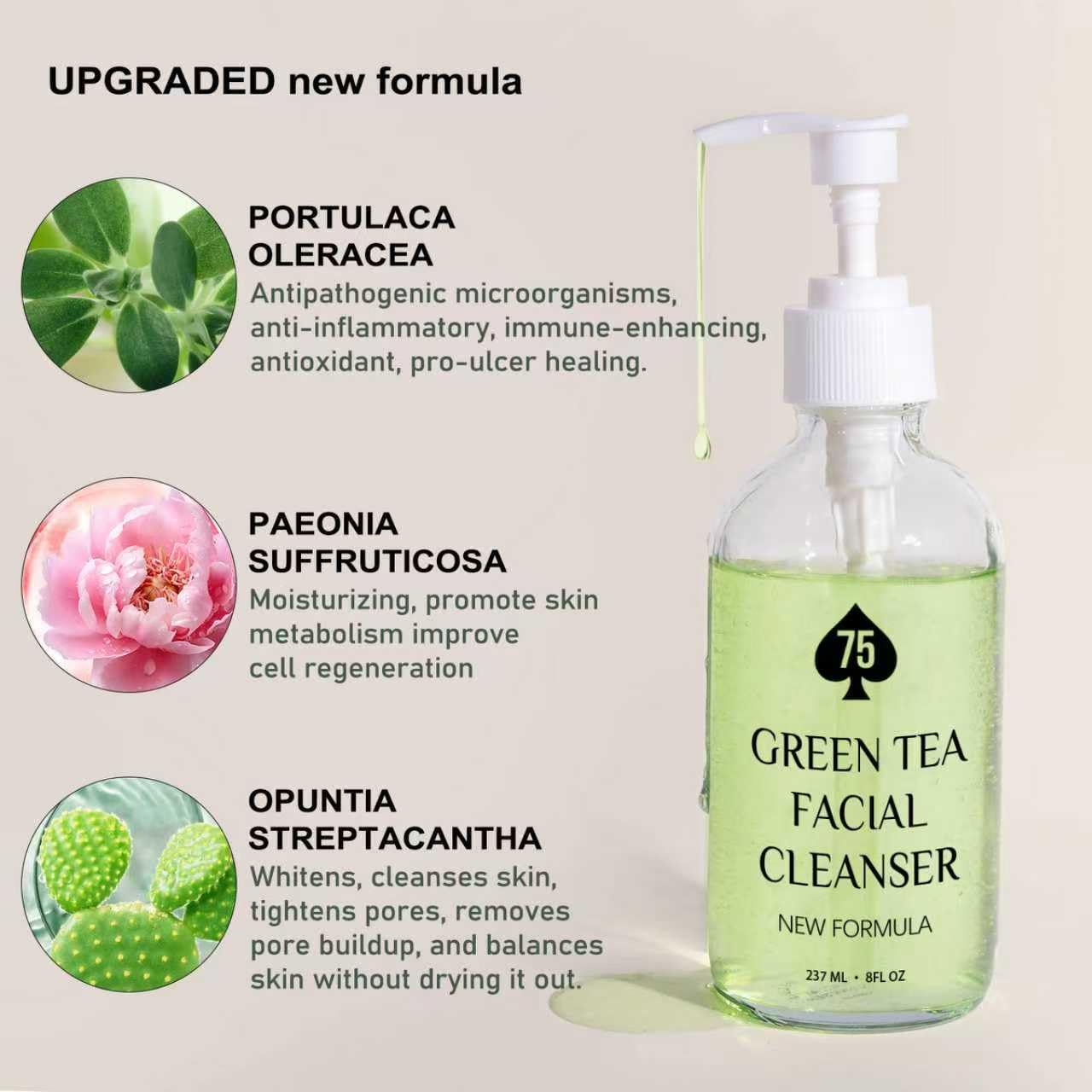 Skiennix Green Tea Face Wash - Hydrating Facial Cleanser with Vitamins A, C, E & Kale Extract | 237ML/8 oz