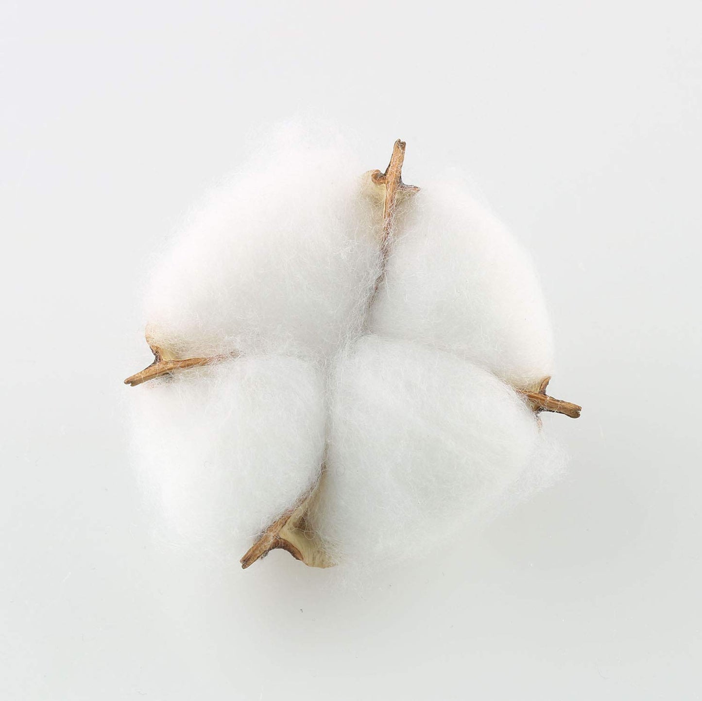 Tegg Cotton Boll 20PCS Natural White Cotton Balls Dried Cotton Pods for Crafting Farmhouse Style