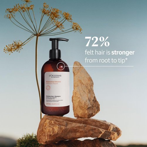L'Occitane Intensive Repair Shampoo - Revitalize Dry, Damaged Hair | Silicone-Free & Vegan Refill Available