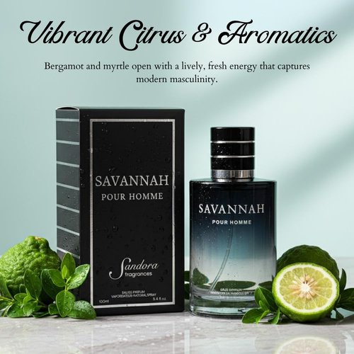 Sandora Fragrances Men's Cologne - Inspired by Renowned Perfume | Fresh, Spicy, Woody Aroma - 3.4 fl oz