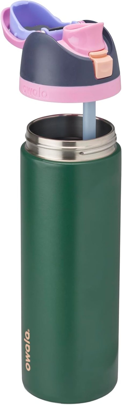 Owala FreeSip Insulated Stainless Steel Water Bottle - BPA-Free, 24 oz, Blue/Green Forest Fairy