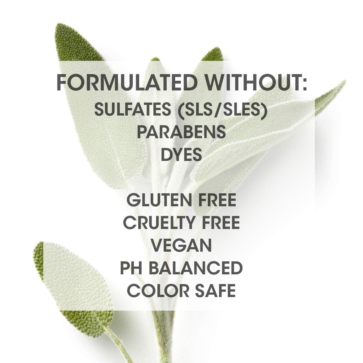 SEVEN Gazar Hair Serum - Anti-Frizz & Shine Booster with Coconut & Macadamia Oil | 3.2oz