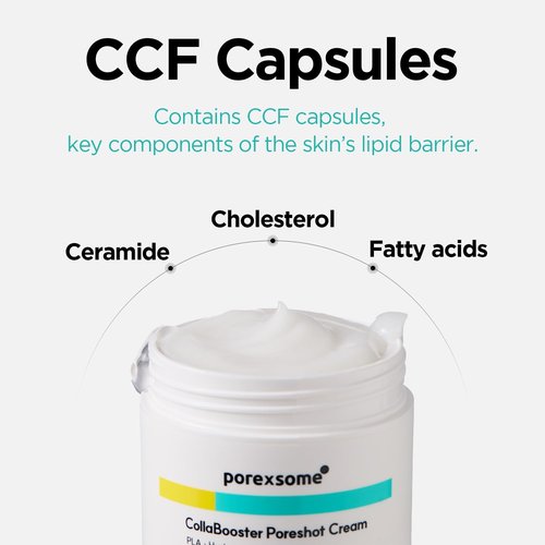 Dr.nineteen PoreXsome CollaBooster Poreshot CreamㅣPoly Lactic Acid(PLA) + 12 Hyaluronic Acid(HA) + CeramidesㅣFace Moisturizer for Pore Tightening & FirmingㅣKorean Skin Care (1.69 fl.oz.)