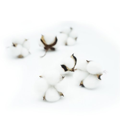 25 Pcs White Cotton Bolls Balls Decor, Dried Cotton Balls for Wreath Decorative, Home, Wedding Decor Balls