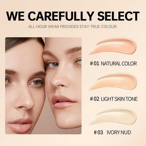 Diaoni Coverage Concealer, Diaoni Korean Concealer, Diaoni Liquid Concealer, Korean Conceals Stick Foundation, Lightweight, Long-Lasting, Waterproof, Natural Full Coverage (02+03, small)