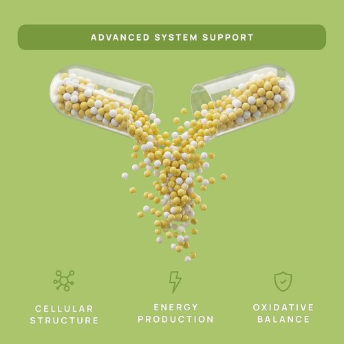 C15:0 Pentadecanoic Acid Supplement | Longevity, Cellular & Membrane Support, Micro-Granule Enhanced Absorption, Phosphatidylcholine, L-Carnitine, Ubiquinol CoQ10 & Tocotrienols – 120ct