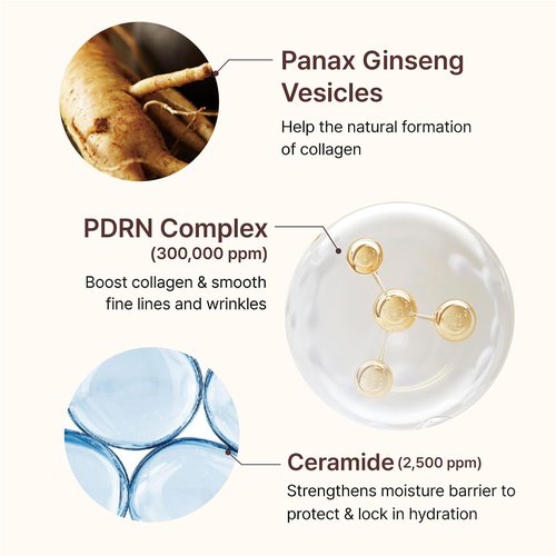 CENTELLIAN 24 PDRN Firming Boosting Ampoule - Enhance Skin Elasticity with 300,000 ppm PDRN | 1.01 fl oz