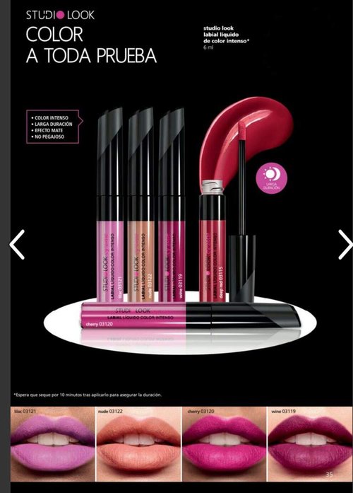 Cyzone | Intense Color Liquid Lipstick - Long Lasting Rose Nude Shade for Stunning Lips