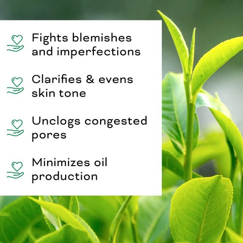 Clarifying Tea Tree Facial Oil - Antioxidant-Rich Acne Treatment for Even Skin Tone | 1 fl oz/30ml