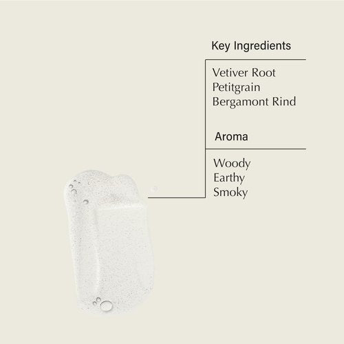 Aesop Reverence Aromatique Exfoliating Hand Wash | Cleanse and Exfoliate Hands with Botanical Extracts And Finely Milled Pumice | 16.9 oz/500mL