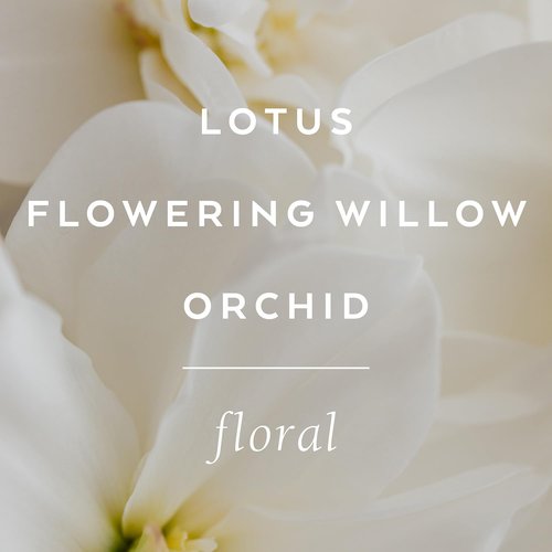 LOLLIA Imagine Eau de Parfum - Captivating Flowering Willow & Lotus Scent | 3.4 fl. oz. Women's Fragrance